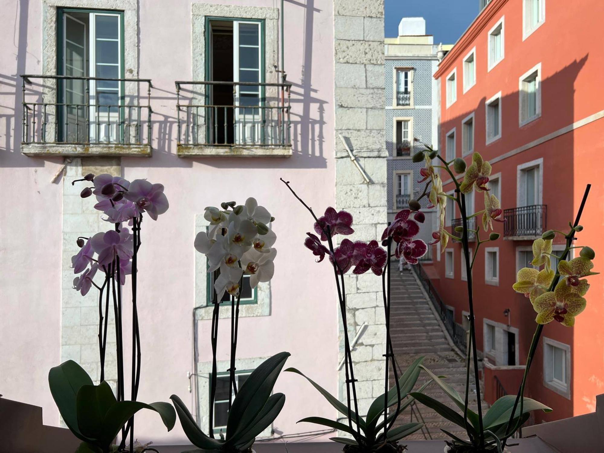 Azzulea Rossio Apartment